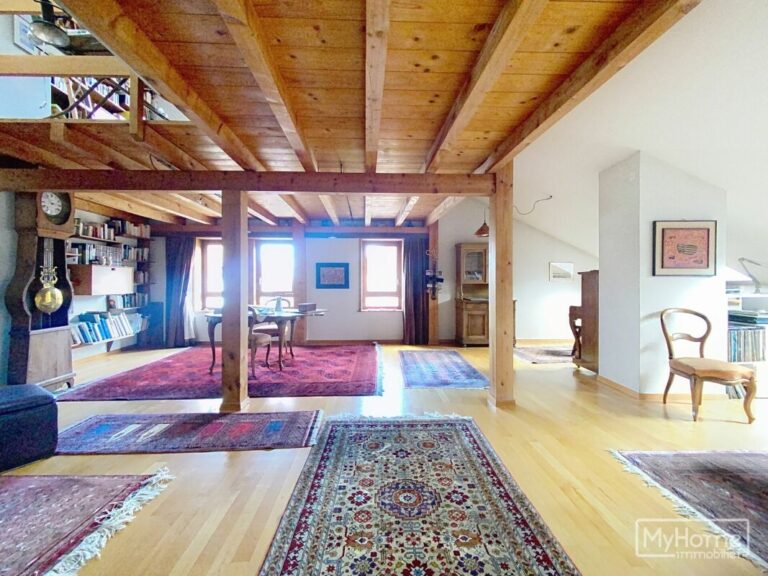 Belle maison villageoise avec appartement séparé et jardin/garage